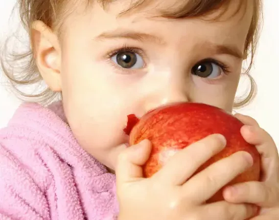 Etwa eineinhalb Jahre altes süßes Kleinkind isst einen Apfel und schaut mit großen Augen über den Apfel.